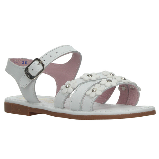 png_1500x1500_70324591